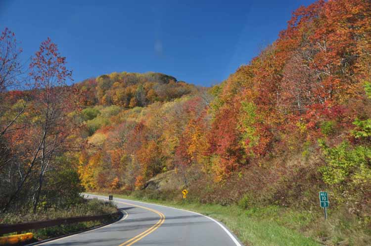 road scene